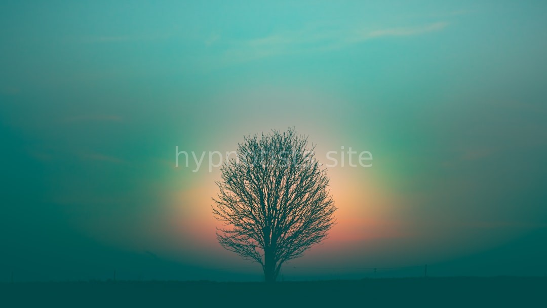 Spiritual Serenity
